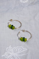 canopy hoops