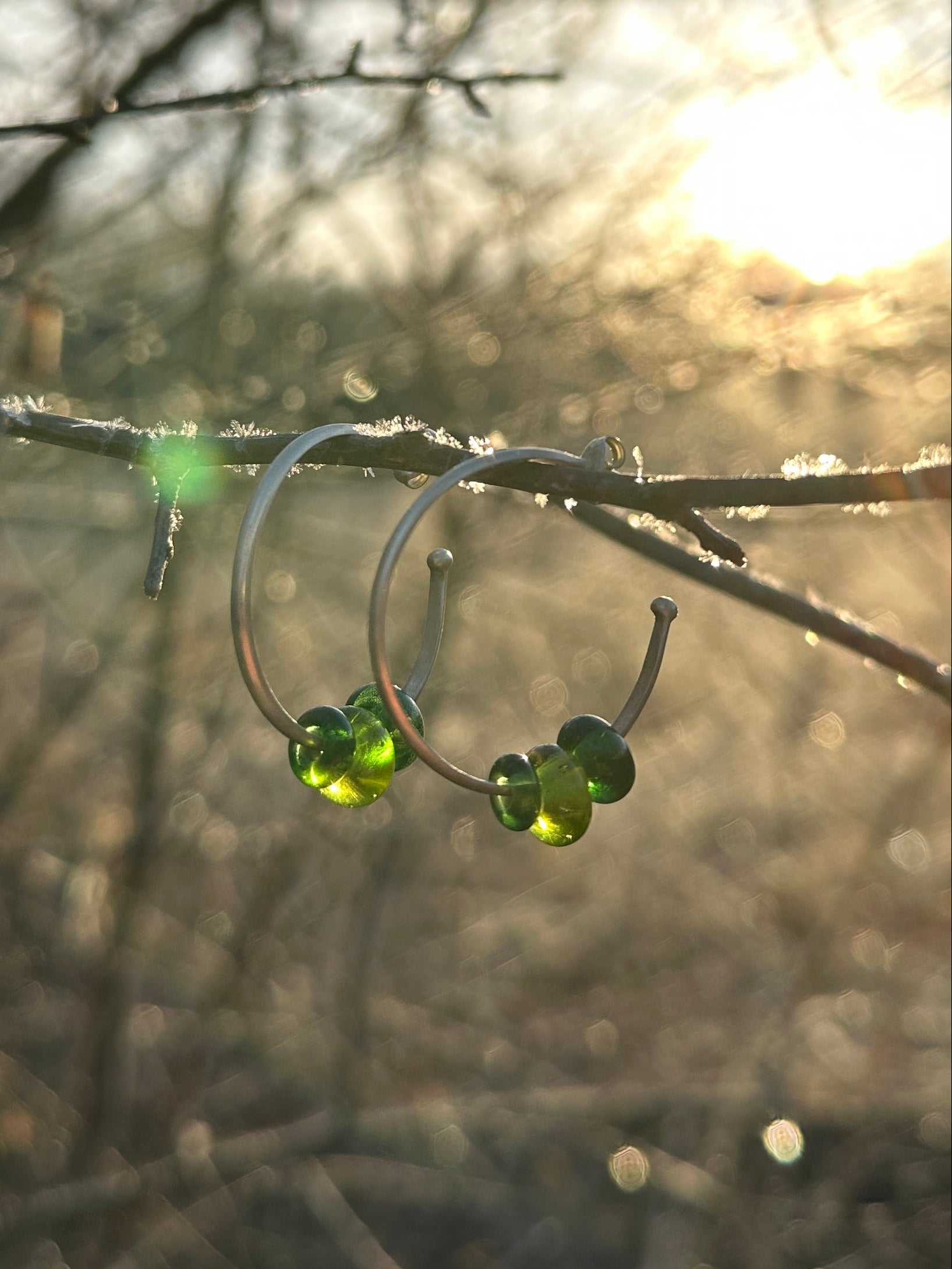 canopy hoops