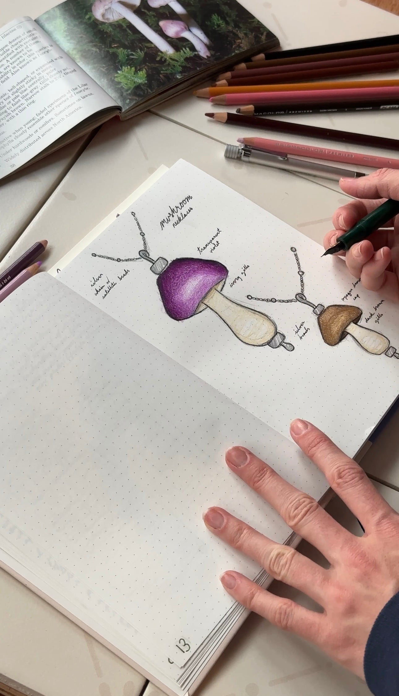 ideas are drawn from inspirations in nature